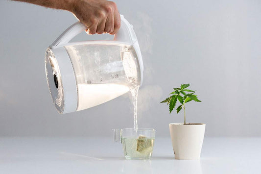 CBD Living Freeze