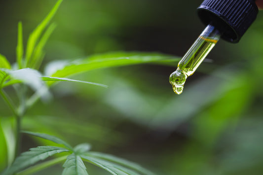CBD Oil