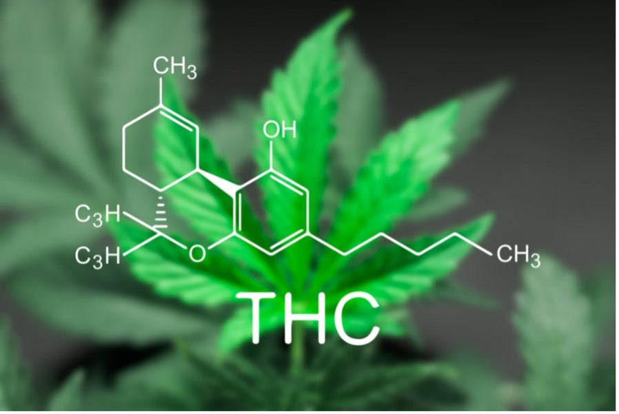 The Different Types of THC – CBD Living