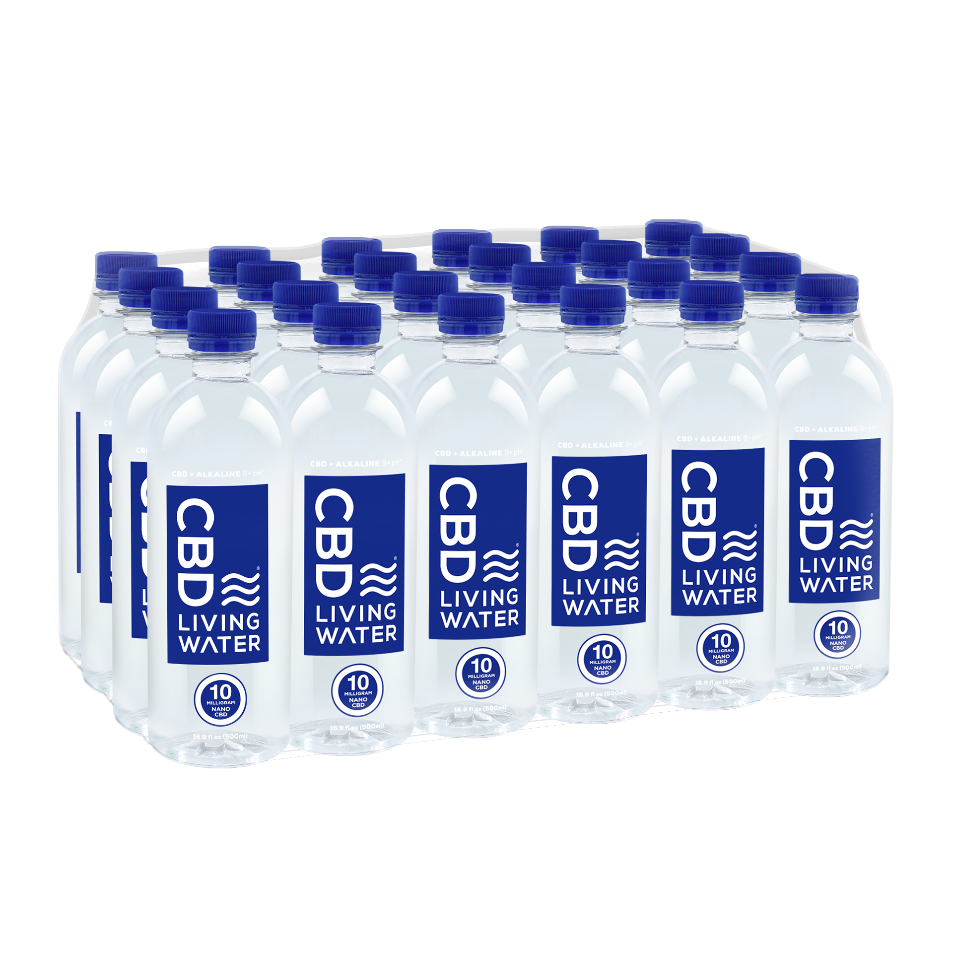 CBD Living 24 Case Water bottle