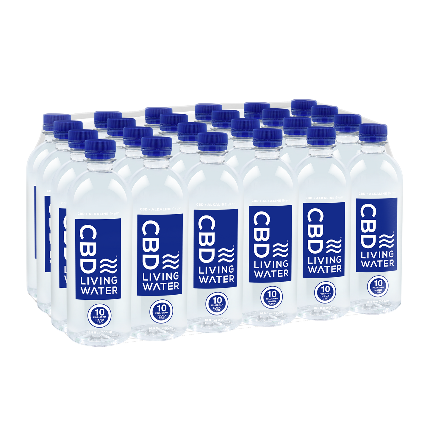 CBD Living 24 Case Water bottle