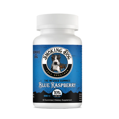 Smoking Dog CBD + THC Gummies (10mg CBD : 10mg THC) - 30ct Blue Raspberry   - CBD Living