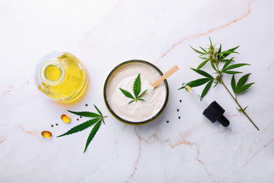 7 Ways To Earn Points at CBD Living