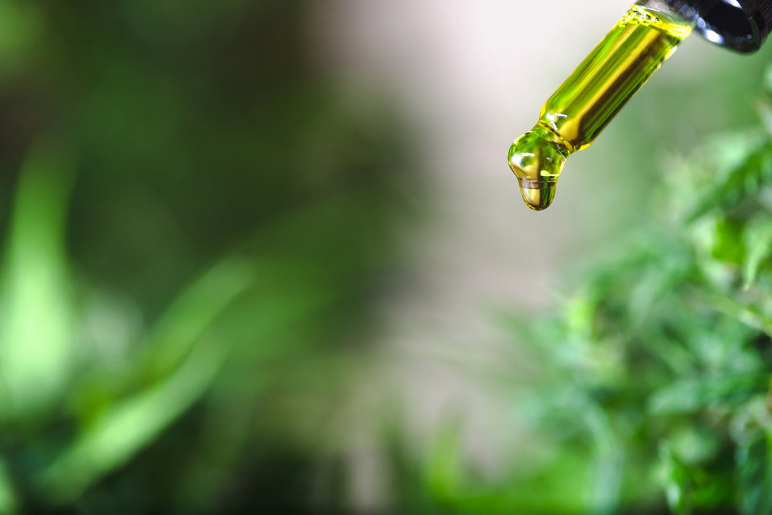CBD Oil