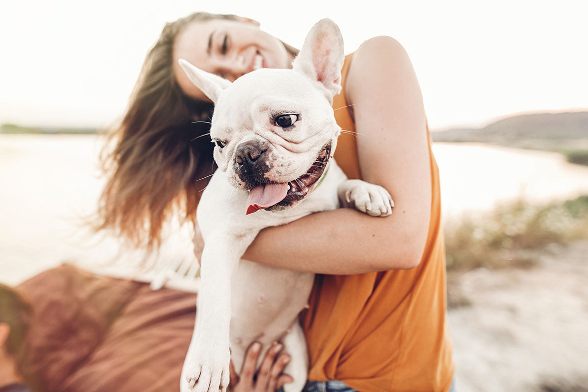 The Benefits of CBD for Your Dog