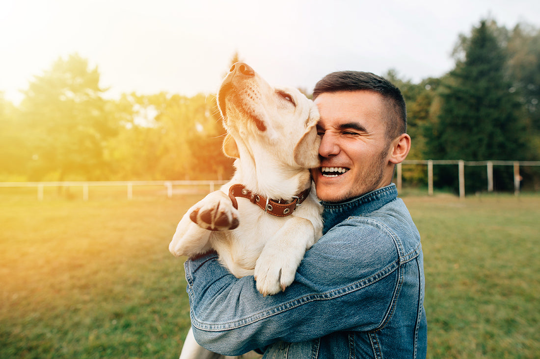 CBD for Pets