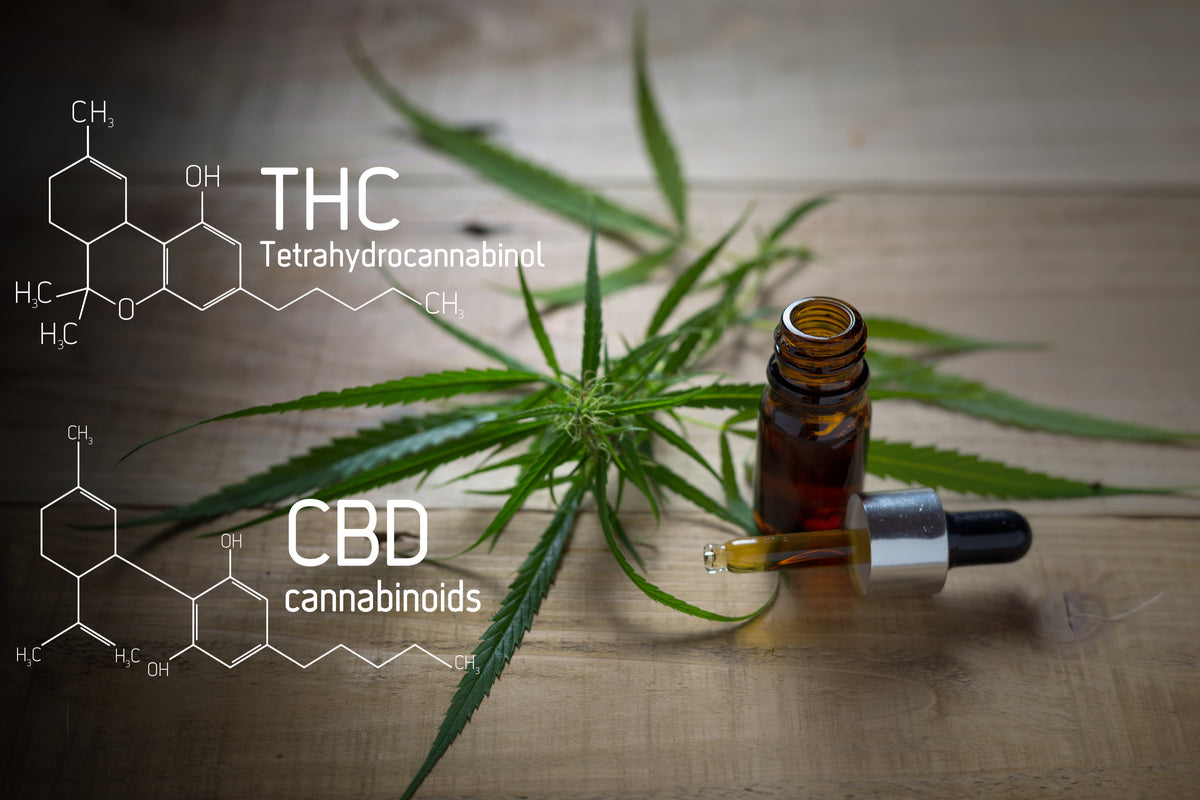 CBD and THC: Some Things to Know