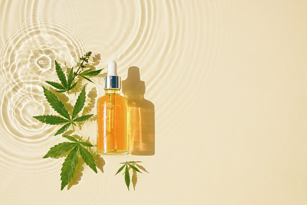 Four Popular CBD Kits – and 1 Other Cool New Product