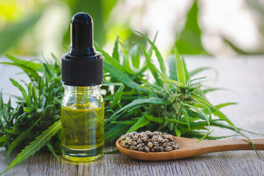 cannabis plant CBD Product
