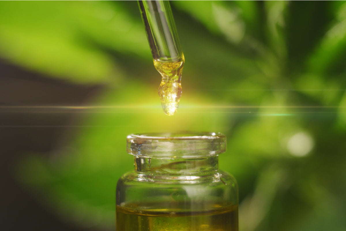 Living With CBD: New Trends for 2022