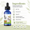 CBD Dog Calming Tincture 1000mg