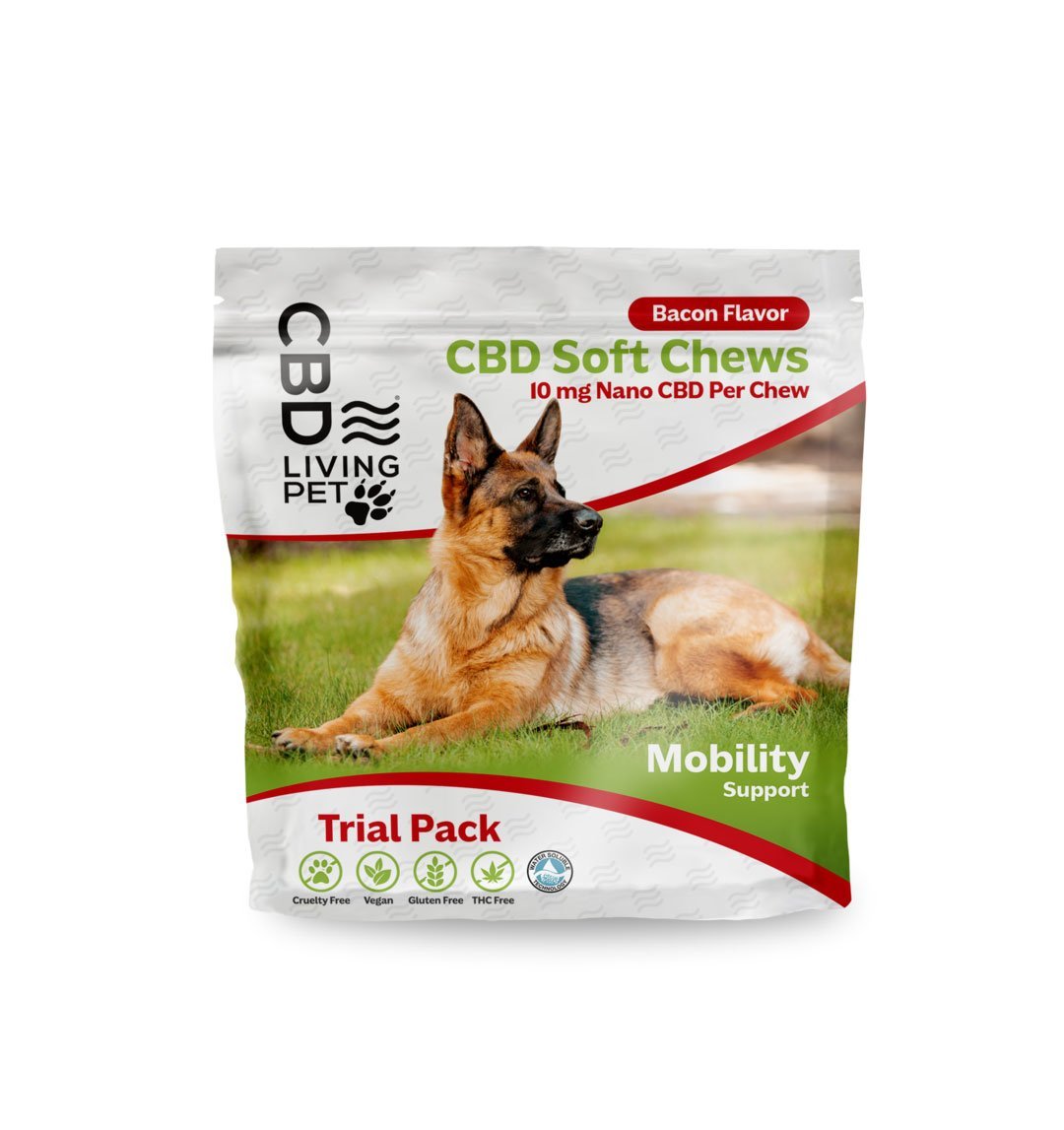 CBD Dog Chews Mobility Bacon Flavor