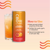 CBD Sparkling Water Orange Grapefruit - 12 pack