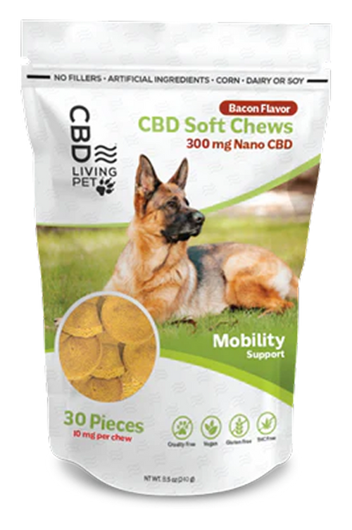 CBD Dog Products