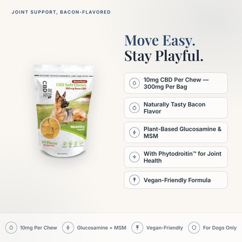 CBD Living Mobility Dog Chews Bacon feature card with key product facts