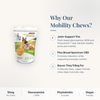 CBD Living Mobility Dog Chews Bacon why choose card with product benefits
