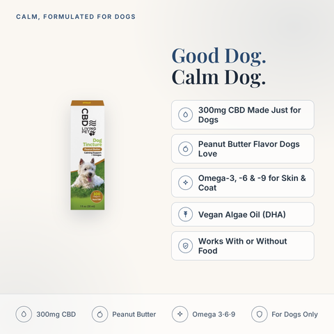 CBD Living Pet Dog Tincture 300mg feature card with key product facts