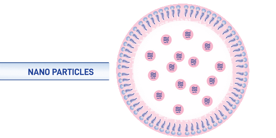 a diagram of a fertilization process