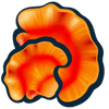a close up of a flower