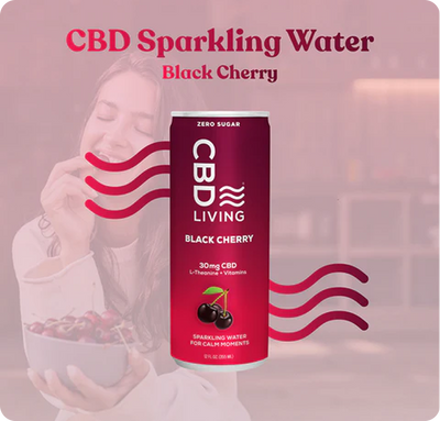 CBD Sparkling Water Black Cherry - 12 pack