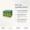 CBD Living Sparkling Water Mango Guava why choose card with product benefits