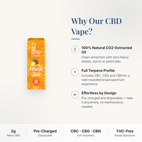 Mango CBD Disposable Vape - 2 Gram Fruity Flavor Experience – CBD