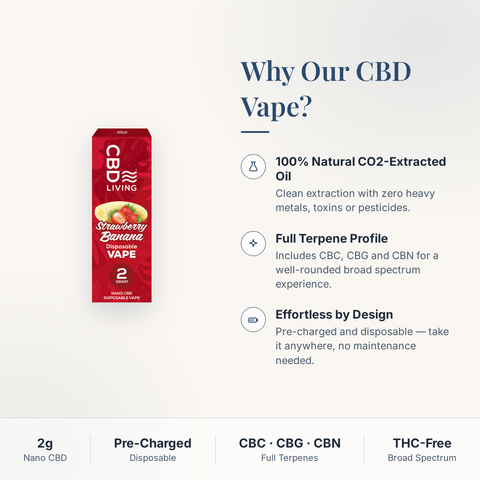 Why choose the CBD Living Strawberry Banana Disposable Vape: 100% natural CO2-extracted oil, full terpene profile with CBC CBG CBN, pre-charged disposable design