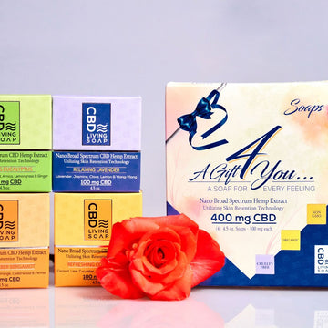 CBD Soaps Gift Set of 4 pcs    - CBD Living