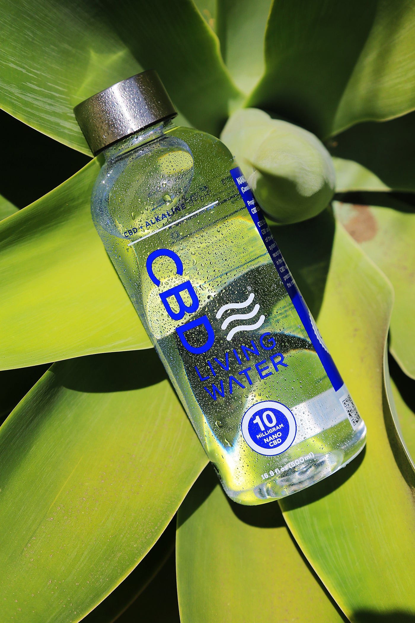 CBD Plastic Refillable Water Bottle 16.9oz    - CBD Living