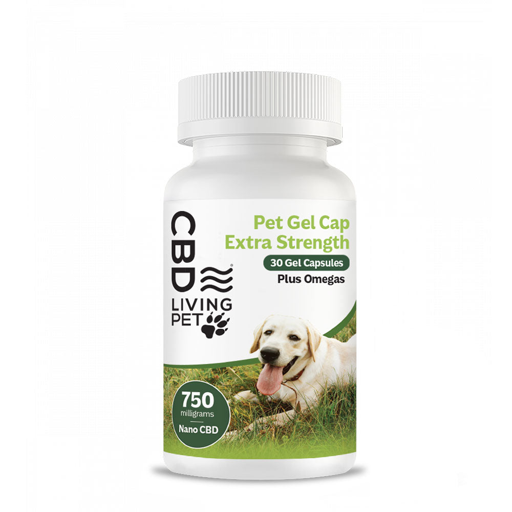 CBD Dog Gel Capsules 750 mg   - CBD Living