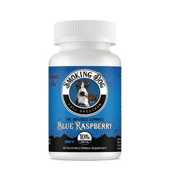 Smoking Dog CBD + THC Gummies (10mg CBD : 10mg THC) - 30ct Blue Raspberry   - CBD Living