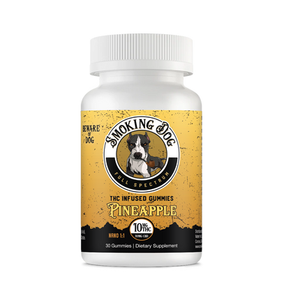 Smoking Dog CBD + THC Gummies (10mg CBD : 10mg THC) - 30ct Pineapple   - CBD Living
