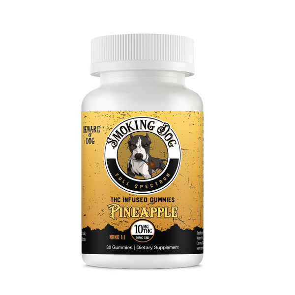 CBD+THC Pineapple Gummies by Smoking Dog | CBD Living